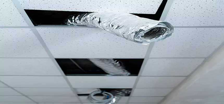 Our Air Duct Pet Hair Removal Services in Middletown, NY