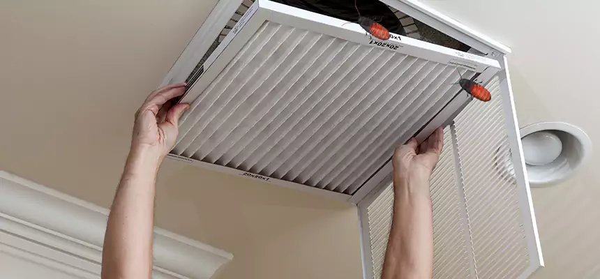 Our Insect Removal from Air Ducts Services in Middletown, NY