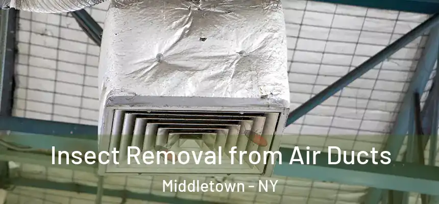  Insect Removal from Air Ducts Middletown - NY