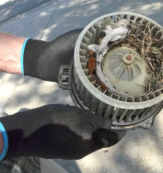 About Air Duct Rat Removal in Middletown, NY