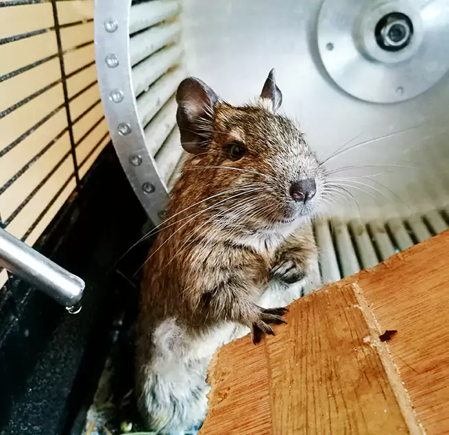 Why Homeowners & Businesses Trust Us Middletown, NY?